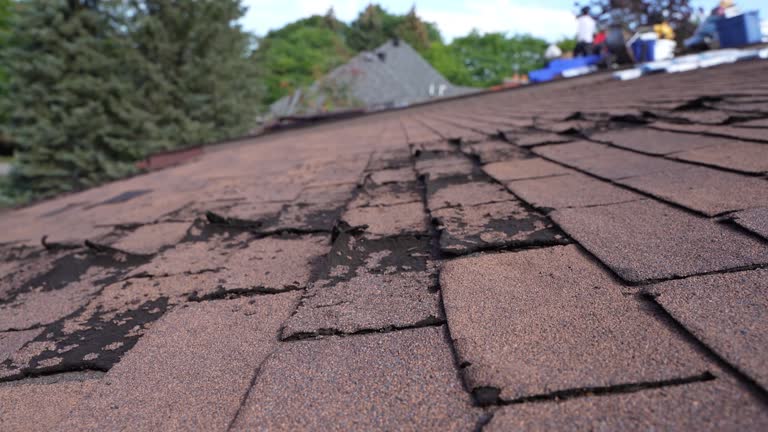Best Hot Roofs  in Butler, OH