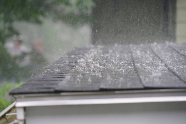 Best 4 Ply Roofing  in Butler, OH